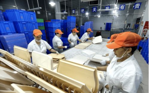 深圳餐具消毒服務(wù)機構(gòu)引領(lǐng)技術(shù)革新，助力循環(huán)經(jīng)濟(jì)推廣