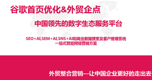淄博外貿(mào)推廣領(lǐng)先選擇 淄博網(wǎng)泰科技助力企業(yè)全球市場拓展